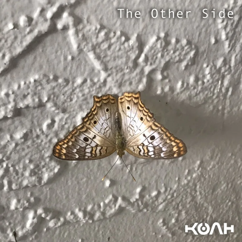 The Other Side cover artwork