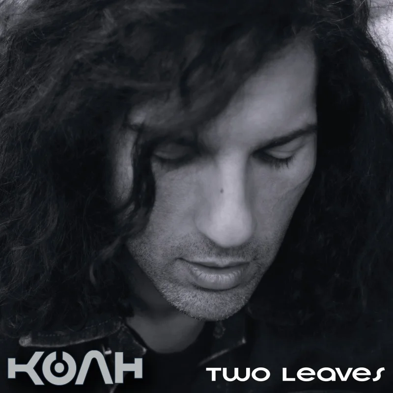 Two Leaves (Alternate Version) cover artwork